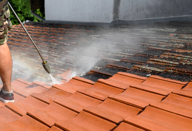 Best Fence Pressure Washing  in Maria Stein, OH